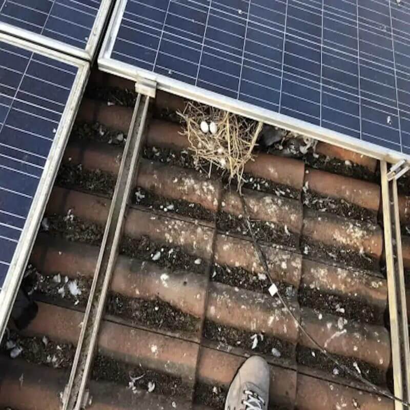 Parapiccioni per pannelli fotovoltaici